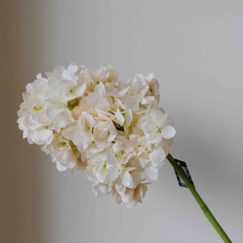 Kunstbloem hortensia wit 8 Kunstbloem hortensia wit