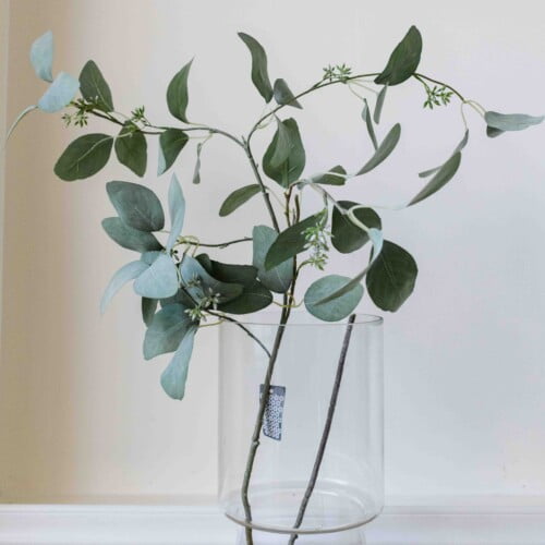 Kunsttak eucalyptus