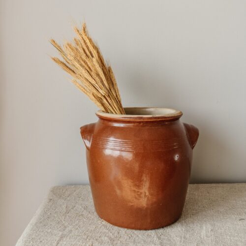 Grote bruine grespot