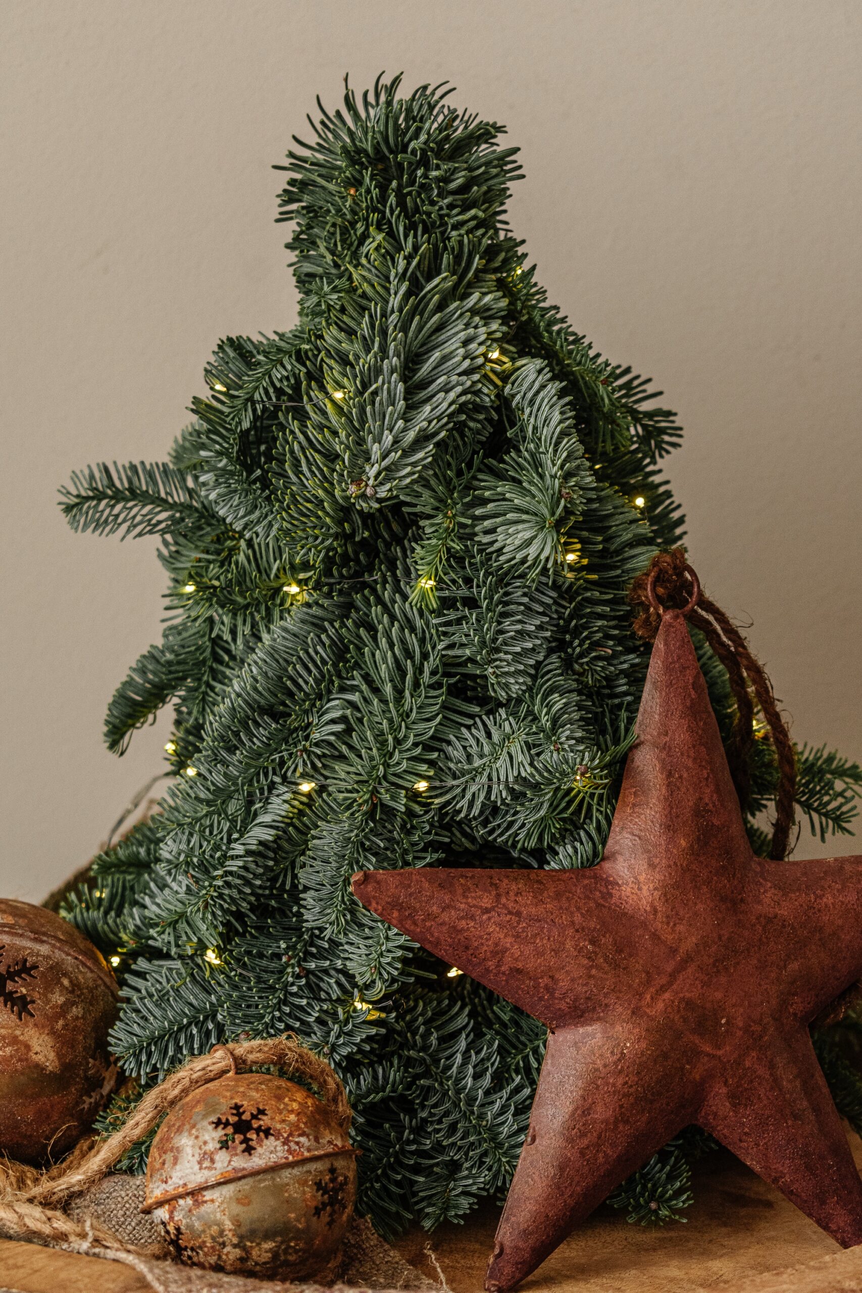 Metalen Kerstster roest 1 Metalen Kerstster roest 1