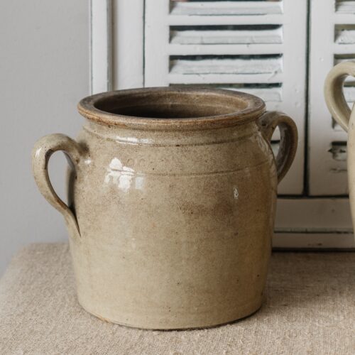 kleine grespot met oren