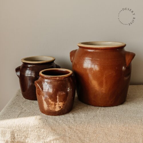 Kleine bruine grespotten