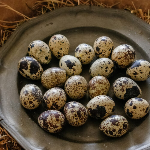 Kwarteleitjes voor paasdecoratie