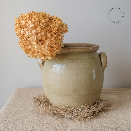 Grespot groot 5 liter