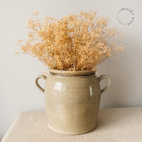 Franse grespot met oren zand