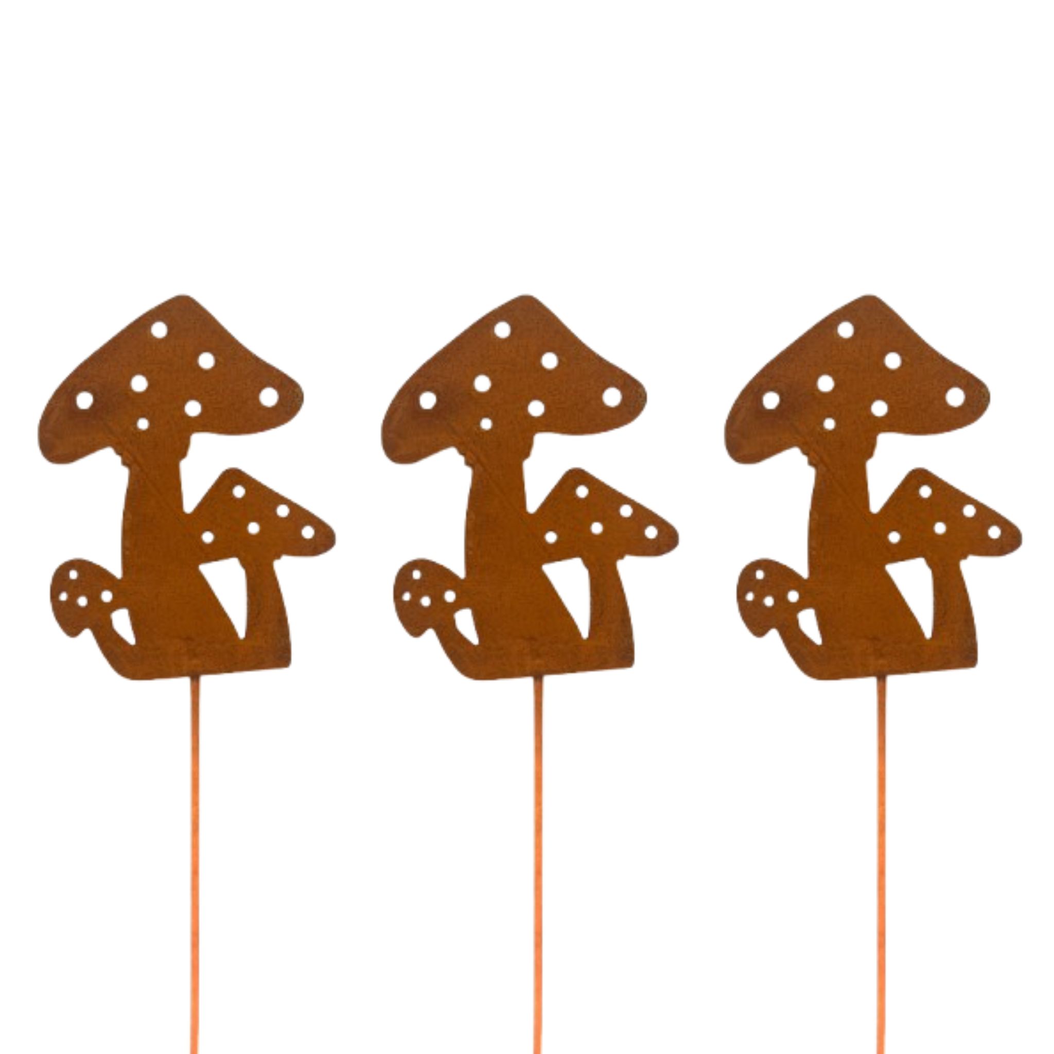 Tuinsteker roest paddenstoelen Tuinsteker roest paddenstoelen