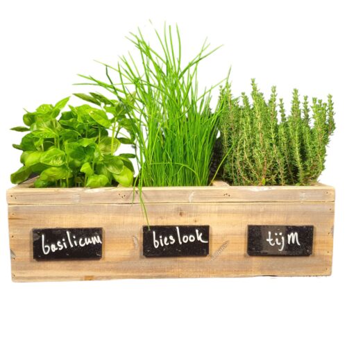 Houten Plantenbak voor kruidenplantjes