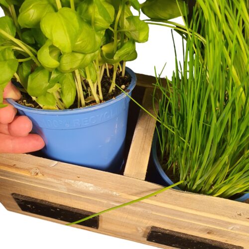 Houten Plantenbak voor kruidenplantjes