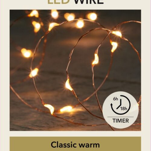 Anna Collection Draadverlichting lichtsnoer - 100 leds - koper - warm wit licht - 500 cm