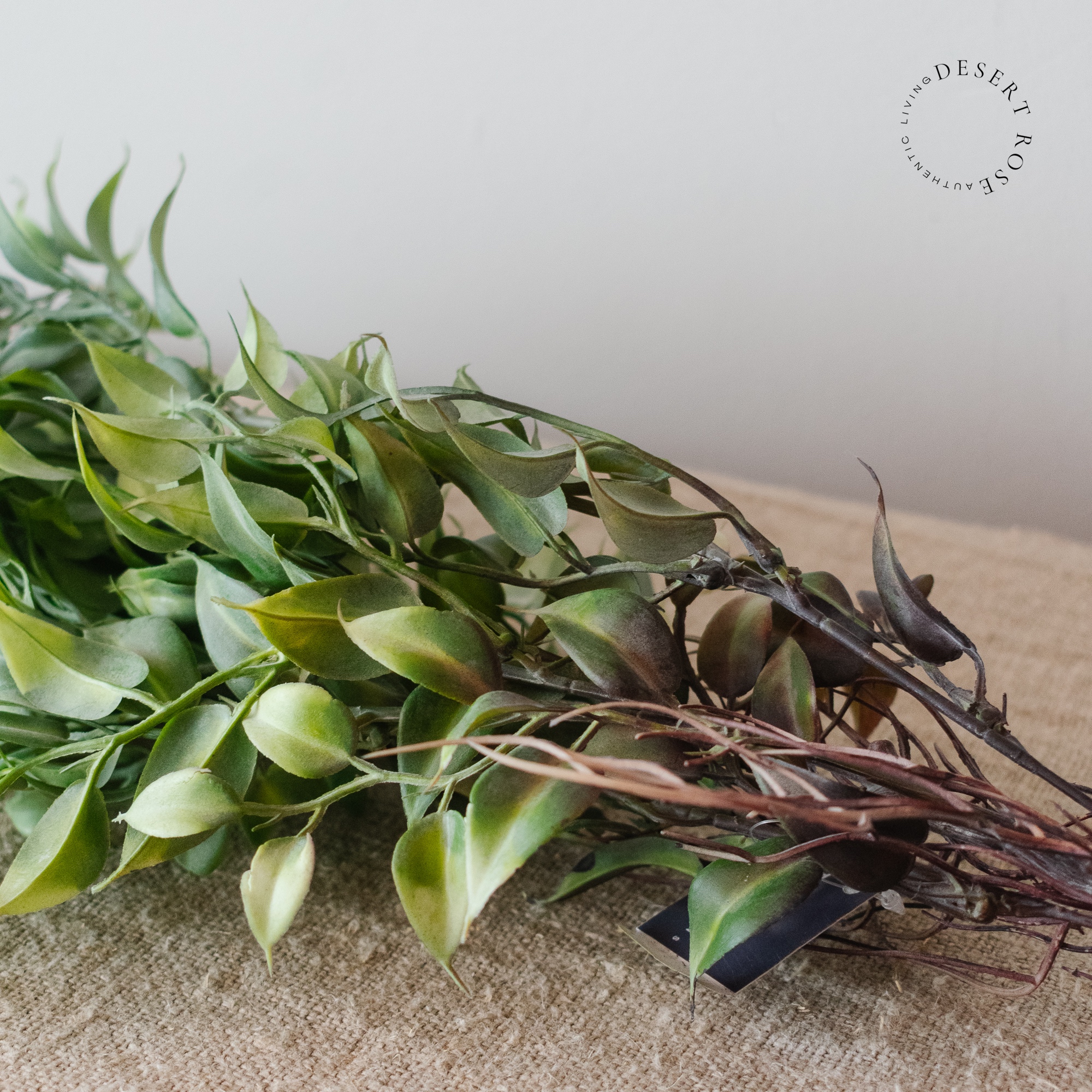 Brynxz hangplant 107cm Brynxz hangplant 107cm