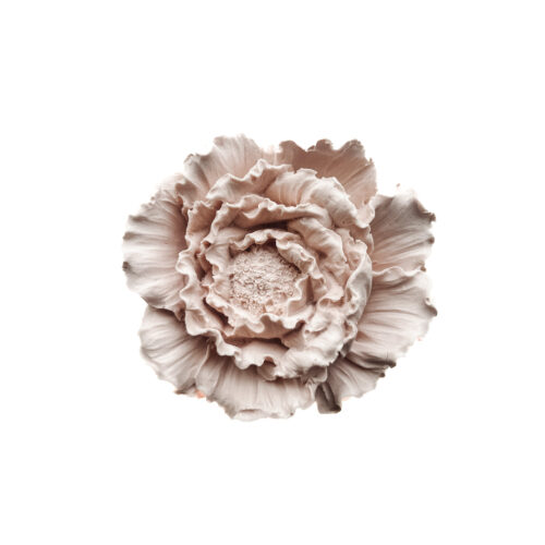 Autoverfrisser bloem beige